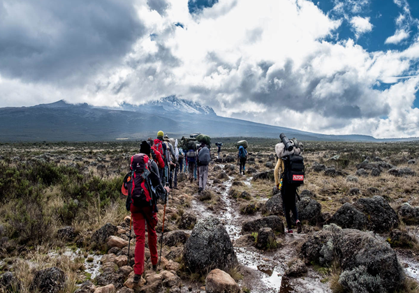 Kilimanjaro-day-Hike